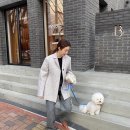 로지 카카오 검색결과