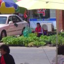 유신약국 이미지