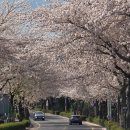 호근서호로 이미지