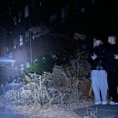 드디어 만천하에 공개된 도강김씨의 하루