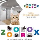 쥬박스애견