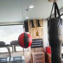 두드림 복싱 다이어트 이미지