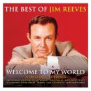 It Hurts so Much (To See You Go) - Jim Reeves 이미지