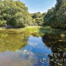 동산1리 이미지