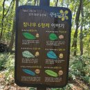 영회원약수터 네이버블로그