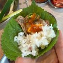 피자먹다 삼계점 | [춘천] 냉삼계의 오마카세 3인분 시키면 피자+김밥 주는 2013대파집 솔직 후기