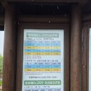 노고단-3 | 성삼재휴게소 출발 지리산 노고단 등산코스 초보자 산행 2시간 풍경 후기정리!