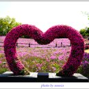 불암산나비정원 이미지