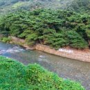 햇살좋은아침 이미지