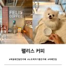 [서울 양천] 목동 실내 애견동반 카페, 조용히 작업하기 좋은 펠리스 커피(대형견 OK)