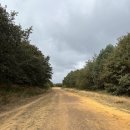 순례길 화장실(간이화장실) | 산티아고 순례길(4)