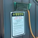유앤아이 | 강원 영월 유앤아이펜션 수영장 스파펜션 1박 후기