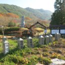 팔영산국립공원 이미지