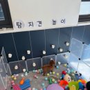 갈매독 애견유치원 이미지