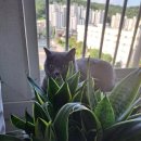 엄마와딸 행복식탁 이미지