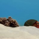 스파이 | 바닷속 스파이 후기 │ 해양 생물의 감정과 관계를 가장 가까이에서 담아낸 BBC 다큐