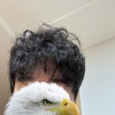 동글_와이프가 쓰는 30대 남자 첫 히피펌 후기 (부엌가위로 짜르기를 곁들인..)