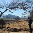 원주굽이길 원8코스 흥업캠퍼스낭만길 이미지