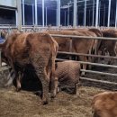 갱이농장 이미지