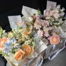 솔루플라워 | 울산 남구 꽃집, 솔루플라워 soluuu flower