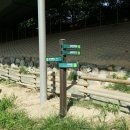 불광천길 이미지