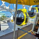 항아리 | ​[내돈내산] 속초아이 대관람차 맛집 항아리물회 후기