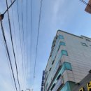 우리민들레약국 이미지