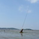 갯뻘식당 이미지