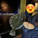 숲속애바다실내낚시터 이미지