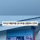 감나무골 식당 민박 이미지