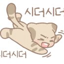 예쁜여우꽃