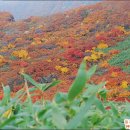 (주)브라이트스푼