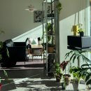 (주)엠케이전기물류 | 12월 직장인 일기_01 | 성심당, 취업, 출생신고서, 전세사기 방지, 전입신고, 이사는 힘들어