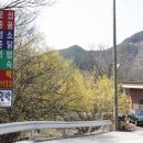 산수유민박 이미지