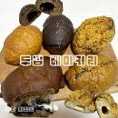 자활기업 고래의 꿈 | 광주 빵지순례 소금빵 맛집, 두껍베이커리 소금빵 종류 택배 후기 (흑임자소금빵 + 아이스크림)