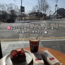 커피베이부여궁남점 | 부여 궁남지 카페 추천 ☕ 투썸플레이스 부여궁남점, 주차 편하고 뷰까지 챙긴 곳