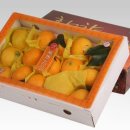 원 농장 이미지