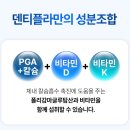정케어 | 덴티플라 구강케어정 임플란트 잇몸뼈 영양제 먹어본 솔직 후기