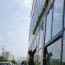 노다지청소