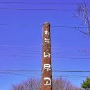 나무고아원 이미지