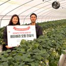 카페베리 앞 도로 이미지