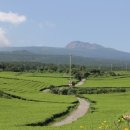 다원결혼정보 이미지