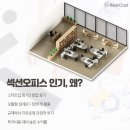 에코이뷰 이미지