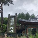 펜션600캠핑장 이미지