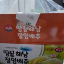 수원축산농협 하나로마트 곡반정점 | 해남, 고랭지 절임배추 비교 60kg 김장 재료 및 보쌈하기