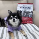 이강메디칼 이미지