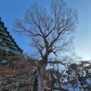 가섭사 - 1541 | 가섭사
