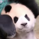 주당도가 이미지