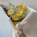 커밍플라워 이미지