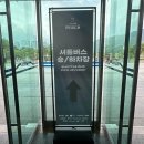 드레곤체육관 | LCK 결승 후기 in 경주실내체육관